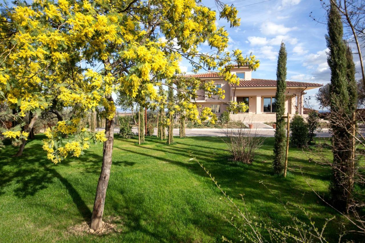 Villa Spaccasole Su Cortona Foiano Della Chiana Eksteriør billede